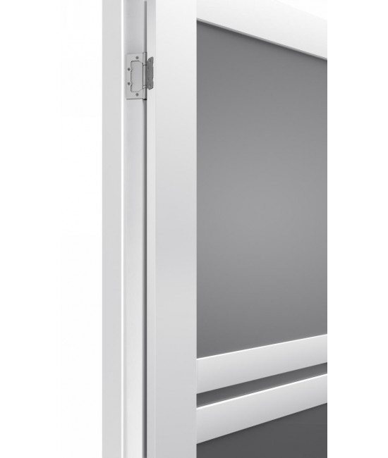 Terminus модель 104 (застекленная) Белый Матовый